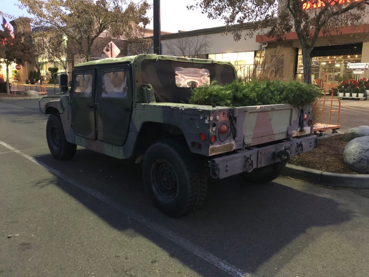 Christmas Tree 2025